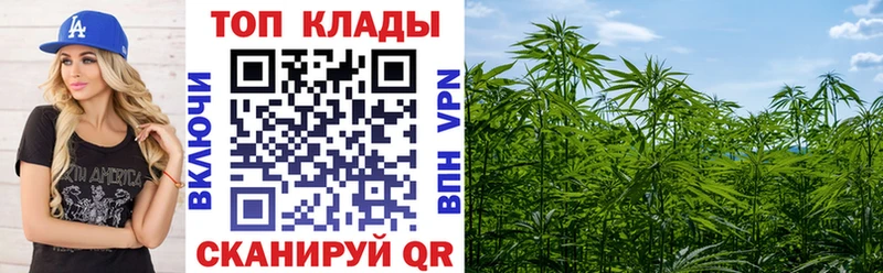 Наркошоп купить МДМА  Меф мяу мяу  COCAIN  ГАШ  Бошки Шишки  Амфетамин  Лениногорск