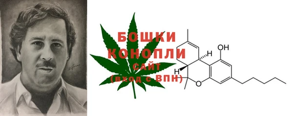 каннабис Гусев