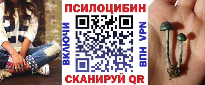 Купить  Лениногорск  Псилоцибиновые грибы Magic Shrooms 